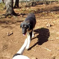 processed/d84e202c-e884-4039-9df9-750e26392802/listing/37ee5d24-ffcc-4fe9-87d4-f111d1995cde/714a6898-9b39-4d77-b4ef-5a363d77634e