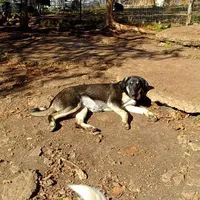 processed/d84e202c-e884-4039-9df9-750e26392802/listing/37ee5d24-ffcc-4fe9-87d4-f111d1995cde/71e36775-fe60-4c10-a7e6-7f9343715d23