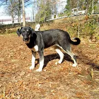 processed/d84e202c-e884-4039-9df9-750e26392802/listing/37ee5d24-ffcc-4fe9-87d4-f111d1995cde/88b90d12-af1a-4cc6-a39e-3ec427beba39