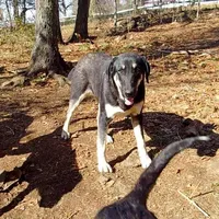 processed/d84e202c-e884-4039-9df9-750e26392802/listing/37ee5d24-ffcc-4fe9-87d4-f111d1995cde/9fc3611c-3b81-4582-b2e7-360f55faf828