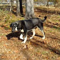 processed/d84e202c-e884-4039-9df9-750e26392802/listing/37ee5d24-ffcc-4fe9-87d4-f111d1995cde/b97f3e39-fd96-4c97-bd9f-e261ca82c451