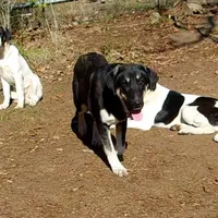 processed/d84e202c-e884-4039-9df9-750e26392802/listing/37ee5d24-ffcc-4fe9-87d4-f111d1995cde/e15a7ee0-f443-4693-8c78-775949c9e130