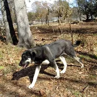 processed/d84e202c-e884-4039-9df9-750e26392802/listing/37ee5d24-ffcc-4fe9-87d4-f111d1995cde/e583524a-355a-4779-b22f-da2475486886