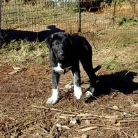 processed/d84e202c-e884-4039-9df9-750e26392802/listing/422769f0-6425-4327-a0c7-e0f50106f650/0a03552a-f8b8-47af-be3e-a31281e1c299