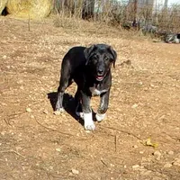 processed/d84e202c-e884-4039-9df9-750e26392802/listing/422769f0-6425-4327-a0c7-e0f50106f650/1d740977-ab9a-437b-abee-5498d7e050f3