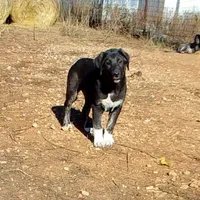 processed/d84e202c-e884-4039-9df9-750e26392802/listing/422769f0-6425-4327-a0c7-e0f50106f650/2cf96933-3df0-4269-95e8-2ee2c7677654