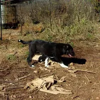 processed/d84e202c-e884-4039-9df9-750e26392802/listing/422769f0-6425-4327-a0c7-e0f50106f650/9c9828e7-9e05-45f6-8a4d-b3a39f9a739b