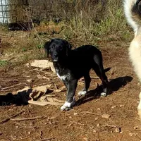 processed/d84e202c-e884-4039-9df9-750e26392802/listing/422769f0-6425-4327-a0c7-e0f50106f650/b35486a1-bcf5-4def-9aef-dd84bfc1c6e8