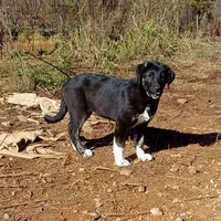 processed/d84e202c-e884-4039-9df9-750e26392802/listing/422769f0-6425-4327-a0c7-e0f50106f650/d63cb4e0-3a4c-4b53-956e-34fa2bbbb69f