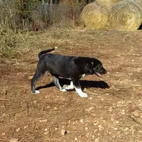 processed/d84e202c-e884-4039-9df9-750e26392802/listing/422769f0-6425-4327-a0c7-e0f50106f650/ff2506b0-ca68-4139-a8f8-6670b6994abd