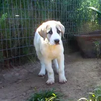 processed/d84e202c-e884-4039-9df9-750e26392802/listing/49a68266-6b28-47a4-b184-49a4c853f49b/f7c30540-20ee-4544-afe6-c8f11f150a66