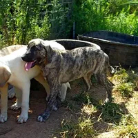 processed/d84e202c-e884-4039-9df9-750e26392802/listing/4d72c038-3a13-443d-b9b3-7c8839216674/b0d4ba26-60c9-4c91-92b4-09a7c9620c72