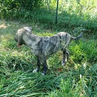 processed/d84e202c-e884-4039-9df9-750e26392802/listing/4d72c038-3a13-443d-b9b3-7c8839216674/de8e8fe3-4882-426c-b14e-de195be82798