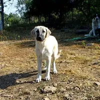 processed/d84e202c-e884-4039-9df9-750e26392802/listing/5956e4bb-e756-4433-bbe9-a9623d95ea90/49e28b59-4c47-4065-a5a7-947e835524c7