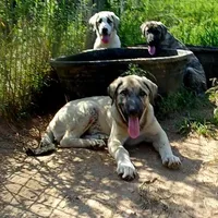 processed/d84e202c-e884-4039-9df9-750e26392802/listing/5ee63044-133d-457b-b6ea-dd17167cbd1f/0b0efbfa-a27e-4e52-aebf-7ba88c3451b5