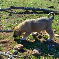 processed/d84e202c-e884-4039-9df9-750e26392802/listing/6341a264-a57b-46b5-92a6-9312c367f040/40d698e6-c498-4ea4-98a8-d8071d406a26