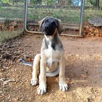 processed/d84e202c-e884-4039-9df9-750e26392802/listing/6a9b0b37-8e82-401b-8320-15681ca74b14/096ce801-5c8b-44f8-af13-8f42f0604d3b