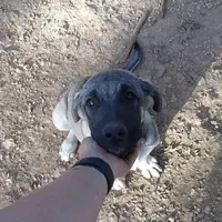 processed/d84e202c-e884-4039-9df9-750e26392802/listing/6a9b0b37-8e82-401b-8320-15681ca74b14/133b4afb-4708-4eb9-b71d-e3f96e50cb2b