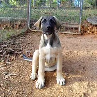 processed/d84e202c-e884-4039-9df9-750e26392802/listing/6a9b0b37-8e82-401b-8320-15681ca74b14/1a9b4397-71a2-49ff-b02e-bcd32eeb8dc0