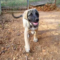 processed/d84e202c-e884-4039-9df9-750e26392802/listing/6a9b0b37-8e82-401b-8320-15681ca74b14/1f4e780e-c8c8-42a2-bb03-c8e1999099af