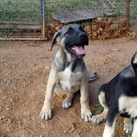 processed/d84e202c-e884-4039-9df9-750e26392802/listing/6a9b0b37-8e82-401b-8320-15681ca74b14/6bbce6b3-0d61-4e21-94c0-1db6a270324e