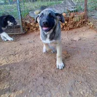 processed/d84e202c-e884-4039-9df9-750e26392802/listing/6a9b0b37-8e82-401b-8320-15681ca74b14/7cfe5756-1263-4bc6-b25f-3aa293ed2e5b