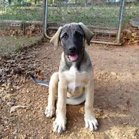 processed/d84e202c-e884-4039-9df9-750e26392802/listing/6a9b0b37-8e82-401b-8320-15681ca74b14/9d8d3175-3962-4ed4-b4ac-8ef9c694f221