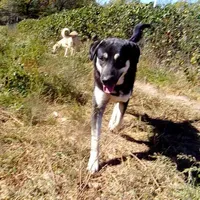 processed/d84e202c-e884-4039-9df9-750e26392802/listing/720b5bc3-dee4-4e0e-ad3f-680badac7b17/145e7989-08c8-40b4-8745-f873e5ea50ca