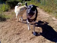 processed/d84e202c-e884-4039-9df9-750e26392802/listing/720b5bc3-dee4-4e0e-ad3f-680badac7b17/361f79df-ae3c-44cc-9f8d-54d593d5515f