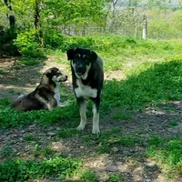 processed/d84e202c-e884-4039-9df9-750e26392802/listing/749016b4-4091-4414-8a4a-0ba10fcf3731/5e4a76a5-d285-4559-aaec-115e046c97d2