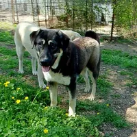 processed/d84e202c-e884-4039-9df9-750e26392802/listing/749016b4-4091-4414-8a4a-0ba10fcf3731/b1444770-4673-4390-a0c4-83b12c1f19d4