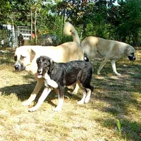 processed/d84e202c-e884-4039-9df9-750e26392802/listing/76256e90-ce77-49d2-abf7-a398ff1669bc/0a6fddba-5bc8-4106-9e2b-f402705844fe