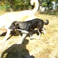 processed/d84e202c-e884-4039-9df9-750e26392802/listing/76256e90-ce77-49d2-abf7-a398ff1669bc/14298630-4dc6-4f09-b74b-f92e55968fbe