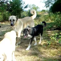 processed/d84e202c-e884-4039-9df9-750e26392802/listing/76256e90-ce77-49d2-abf7-a398ff1669bc/6d16d52b-78d3-4b40-85f0-b363912b8fe7