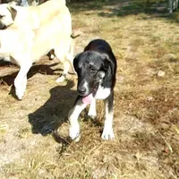 processed/d84e202c-e884-4039-9df9-750e26392802/listing/76256e90-ce77-49d2-abf7-a398ff1669bc/b2c252ac-ebf3-44b3-9ce5-621d50ca02ce