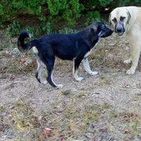 processed/d84e202c-e884-4039-9df9-750e26392802/listing/76256e90-ce77-49d2-abf7-a398ff1669bc/ccd6d718-6a47-4653-829c-cdea28f8d9f2