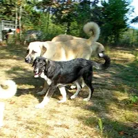 processed/d84e202c-e884-4039-9df9-750e26392802/listing/76256e90-ce77-49d2-abf7-a398ff1669bc/cd620468-55f5-4290-bee3-c8fd3807d6c0