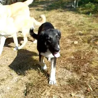 processed/d84e202c-e884-4039-9df9-750e26392802/listing/76256e90-ce77-49d2-abf7-a398ff1669bc/d972a833-7e4c-415f-aa6f-4613ad417e84