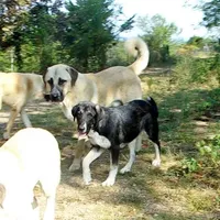 processed/d84e202c-e884-4039-9df9-750e26392802/listing/76256e90-ce77-49d2-abf7-a398ff1669bc/ed48ae6a-ceac-4b1e-a189-41e4bcd49efc