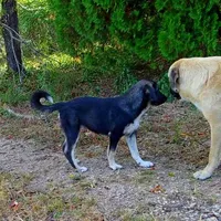 processed/d84e202c-e884-4039-9df9-750e26392802/listing/76256e90-ce77-49d2-abf7-a398ff1669bc/fb4bbd7e-b9ab-4b0e-b3e7-7e8f73bbb9b3