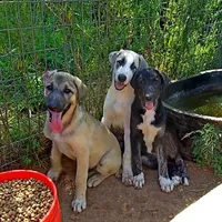 processed/d84e202c-e884-4039-9df9-750e26392802/listing/7fe0f1fb-e5ac-4eb8-8436-5d11978033fe/996ff07f-cf38-49e4-ab36-fa7045bcc8f5