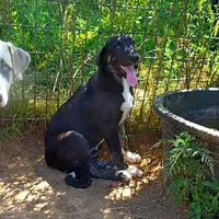 processed/d84e202c-e884-4039-9df9-750e26392802/listing/81e11e72-aea5-45ee-b953-ace5c9ea765d/42787c4f-ee45-432f-9a2a-9d9e76eb0354