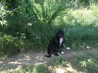 processed/d84e202c-e884-4039-9df9-750e26392802/listing/81e11e72-aea5-45ee-b953-ace5c9ea765d/65d4989c-0fe4-4bd6-8aa6-4755d4d23358