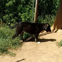 processed/d84e202c-e884-4039-9df9-750e26392802/listing/81e11e72-aea5-45ee-b953-ace5c9ea765d/beb92bd4-82e7-4907-83a4-31cc8b46ad19