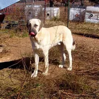 processed/d84e202c-e884-4039-9df9-750e26392802/listing/8417113e-4dcf-4494-996f-efceb254a487/39f74aa5-7364-452f-8800-ebc04be4187c