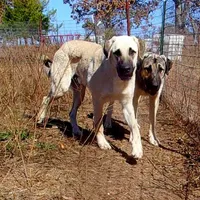 processed/d84e202c-e884-4039-9df9-750e26392802/listing/8417113e-4dcf-4494-996f-efceb254a487/88a3bb3b-c82e-485d-9c01-e180c940fa1d