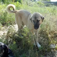 processed/d84e202c-e884-4039-9df9-750e26392802/listing/86d0d700-9410-4cae-a43a-e1016729b50f/caa39945-6bd6-4394-96da-6e3043ac02f9