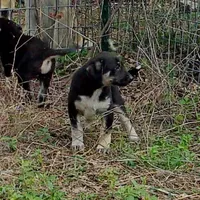 processed/d84e202c-e884-4039-9df9-750e26392802/listing/8bdd6203-00e5-45e6-b934-3f7217f6ca81/2342b481-1534-4e46-9772-015b26a1ef2e