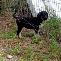 processed/d84e202c-e884-4039-9df9-750e26392802/listing/8bdd6203-00e5-45e6-b934-3f7217f6ca81/2c31e723-35bb-46d8-9054-0a092f366e76