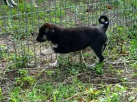 processed/d84e202c-e884-4039-9df9-750e26392802/listing/8bdd6203-00e5-45e6-b934-3f7217f6ca81/3e3720c8-3011-4396-a671-575ebd0d5f85